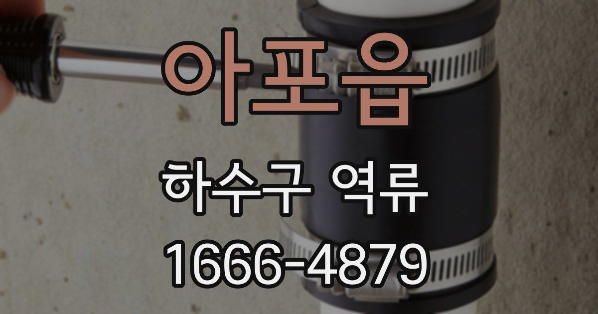 아포읍 하수구 역류