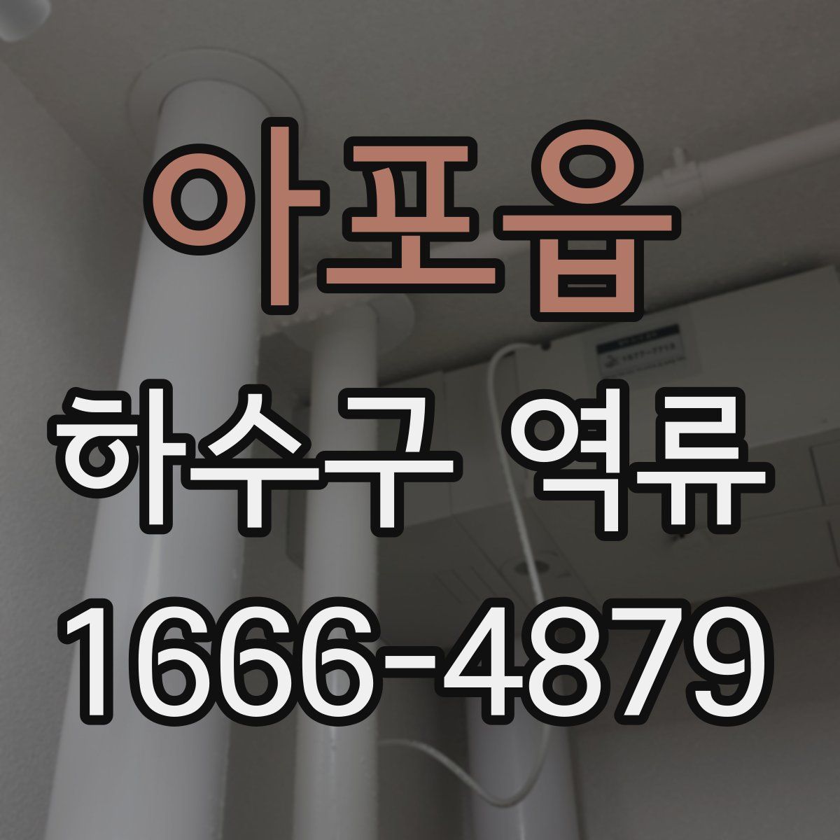 아포읍 하수구 역류