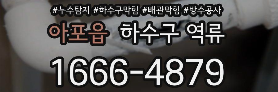 아포읍 하수구 역류