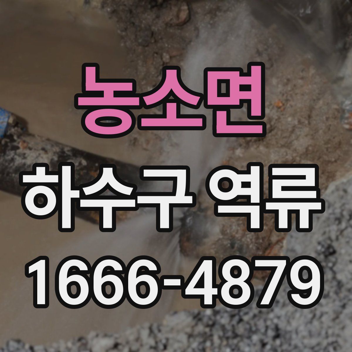 농소면 하수구 역류