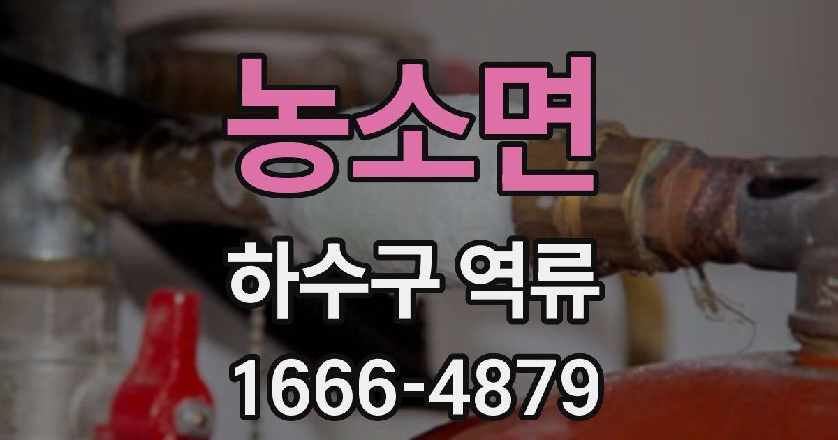 농소면 하수구 역류