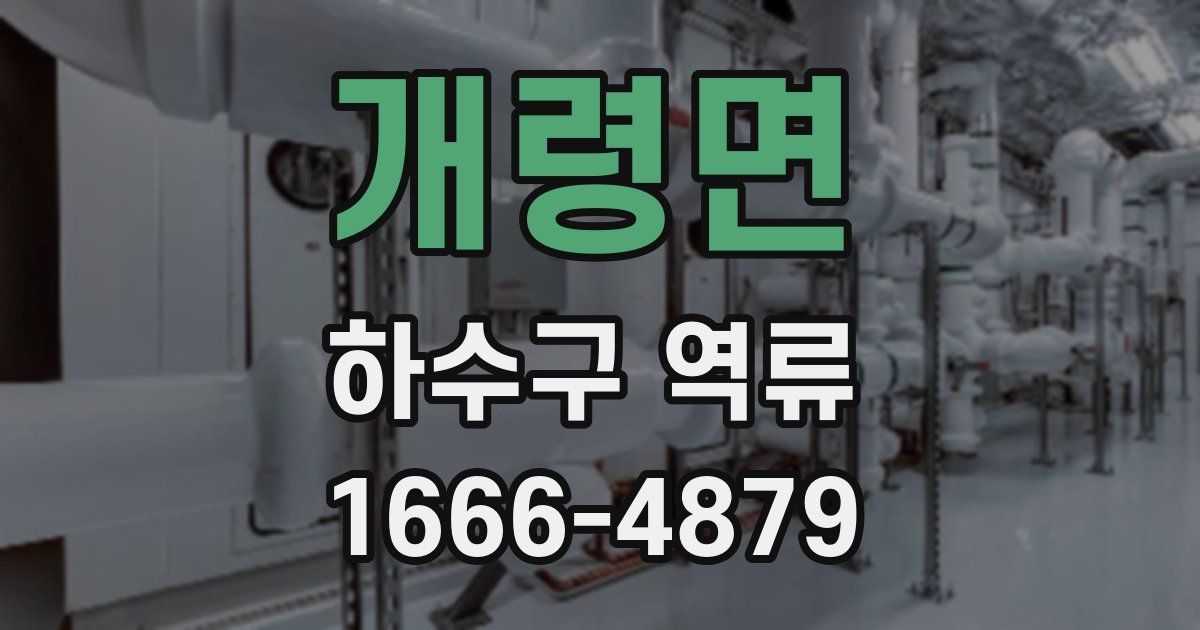 개령면 하수구 역류