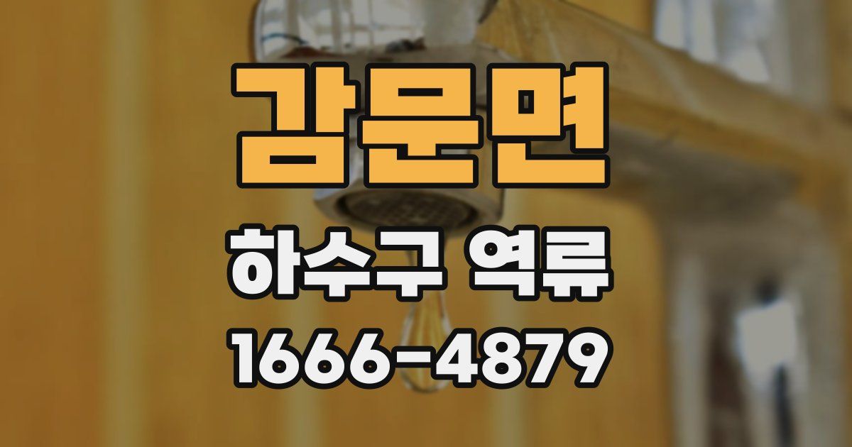 감문면 하수구 역류