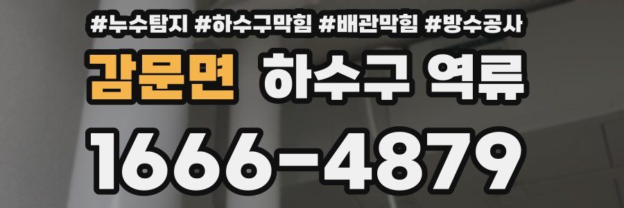 감문면 하수구 역류
