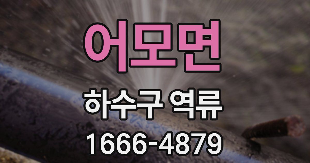 어모면 하수구 역류