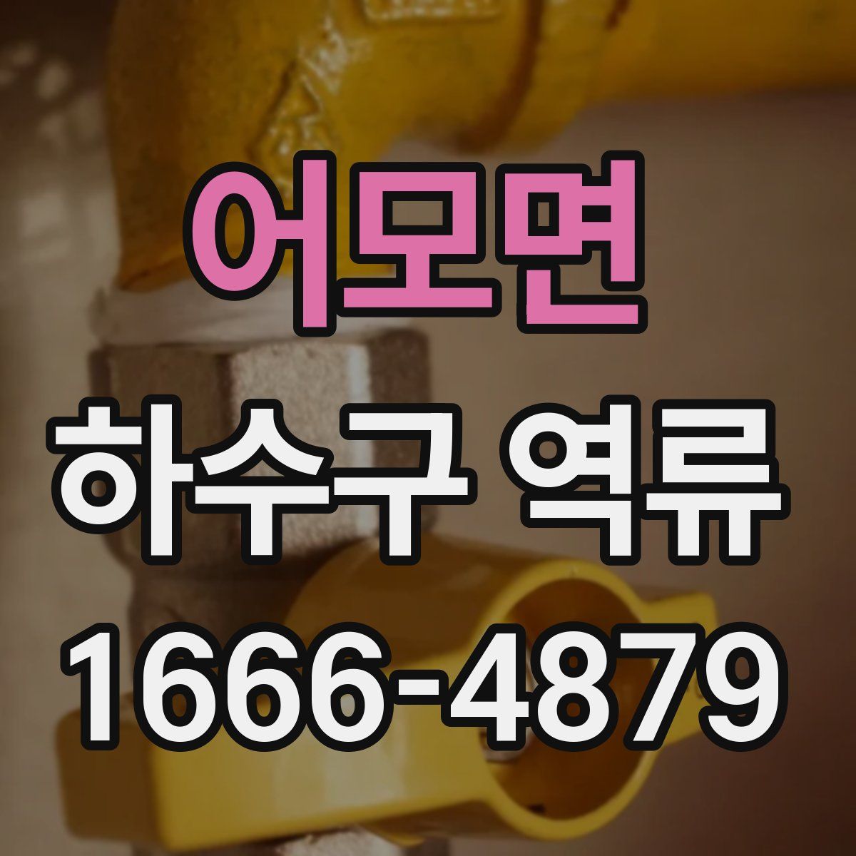 어모면 하수구 역류