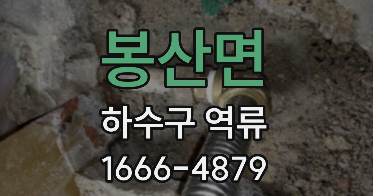 봉산면 하수구 역류