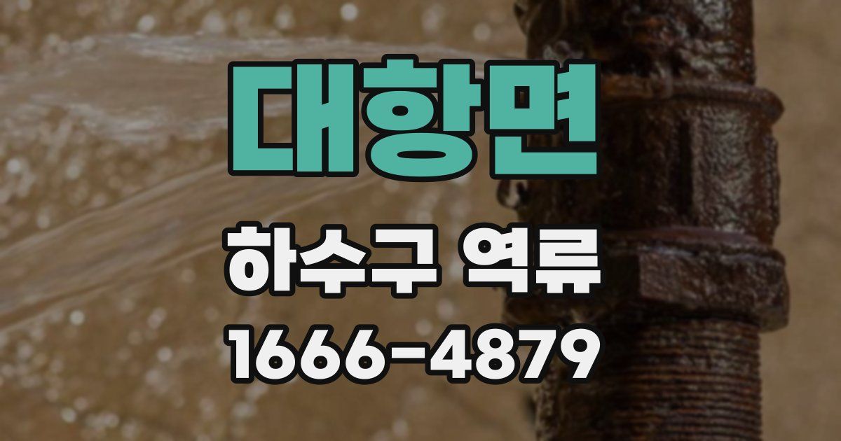 대항면 하수구 역류