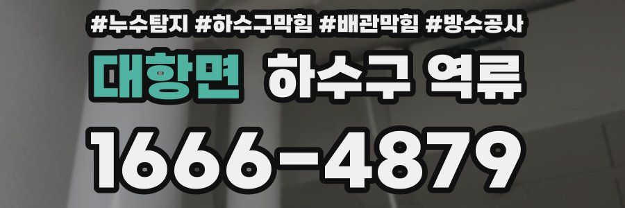 대항면 하수구 역류