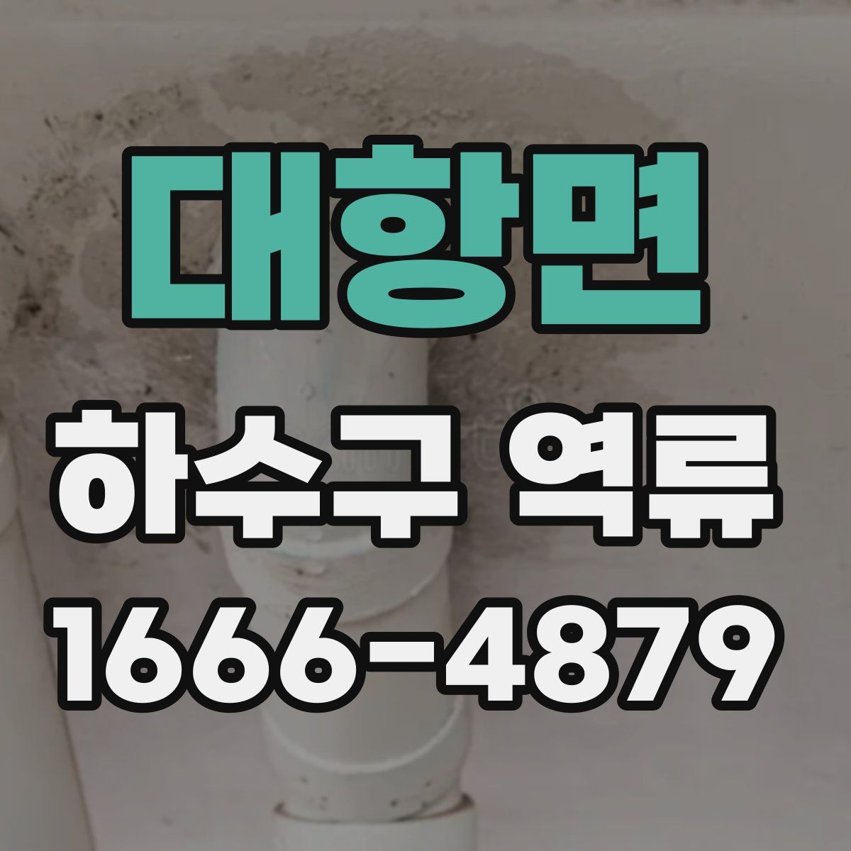 대항면 하수구 역류
