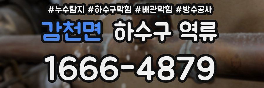 감천면 하수구 역류