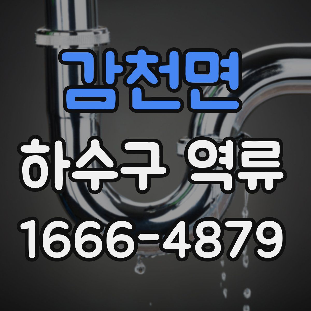 감천면 하수구 역류