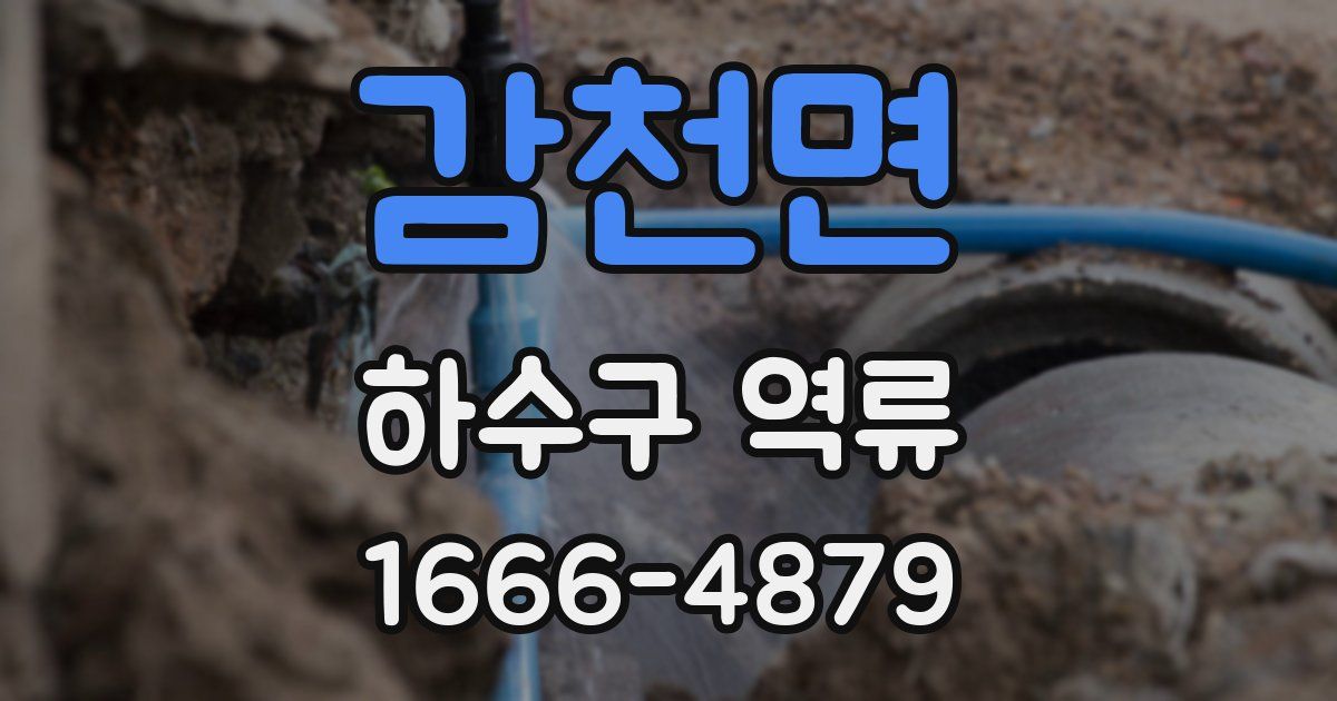 감천면 하수구 역류
