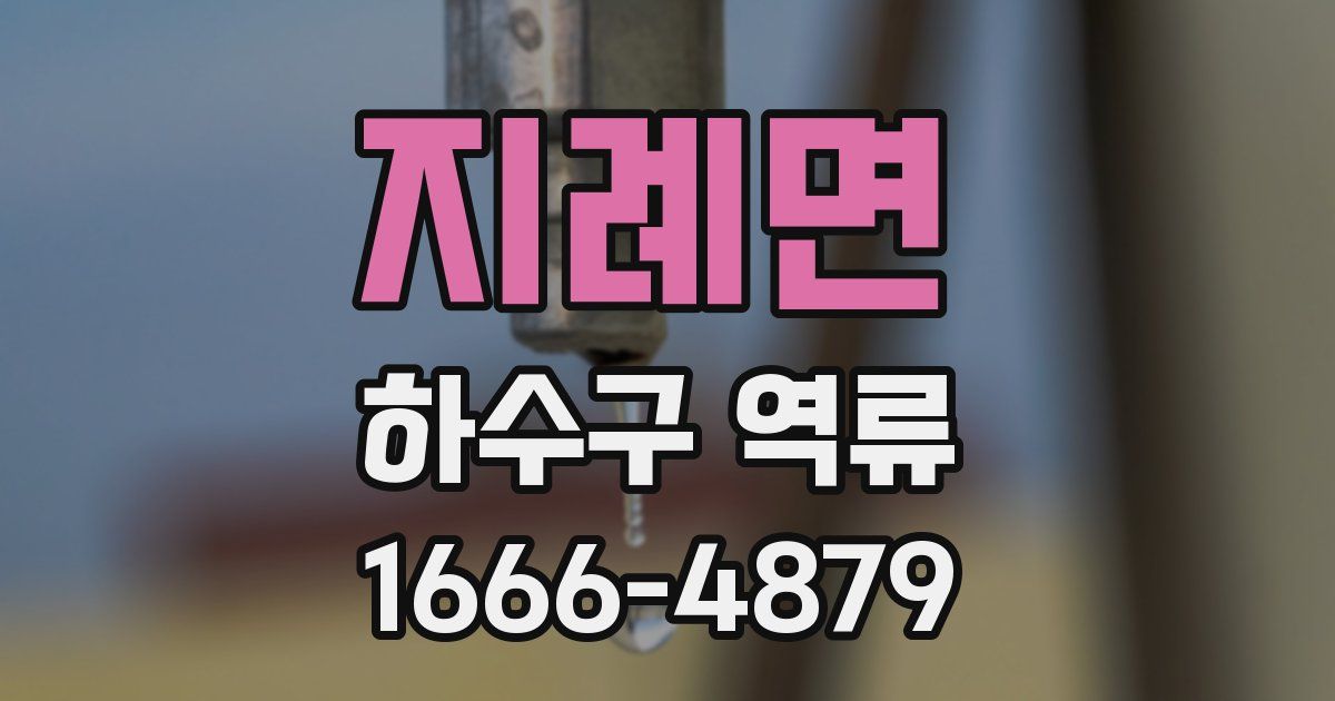 지례면 하수구 역류