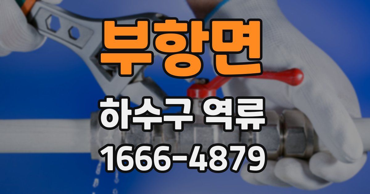 부항면 하수구 역류