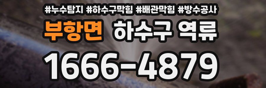 부항면 하수구 역류