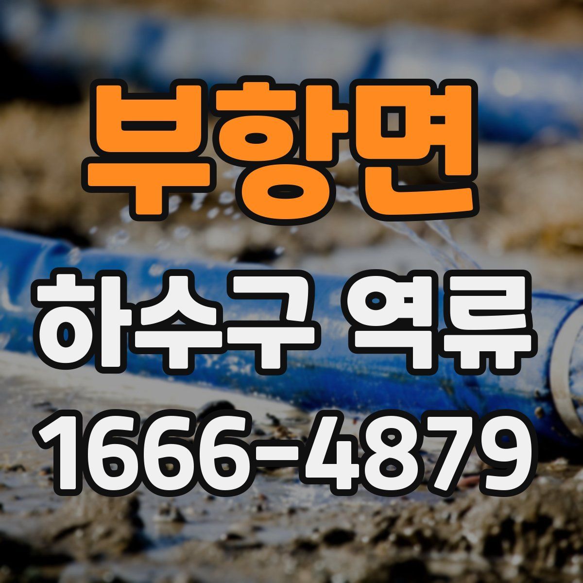 부항면 하수구 역류