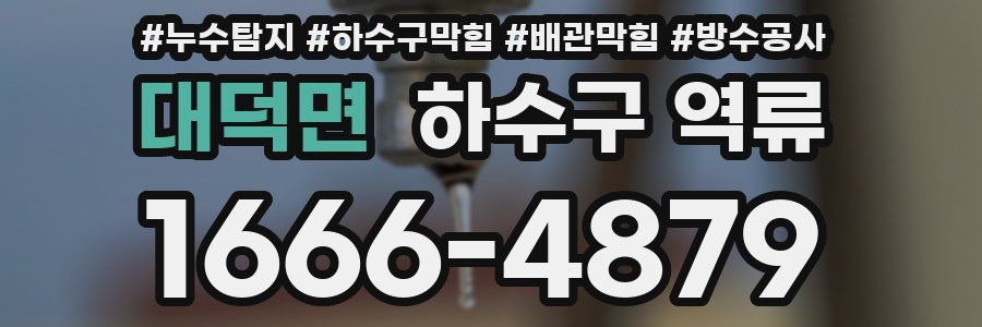 대덕면 하수구 역류