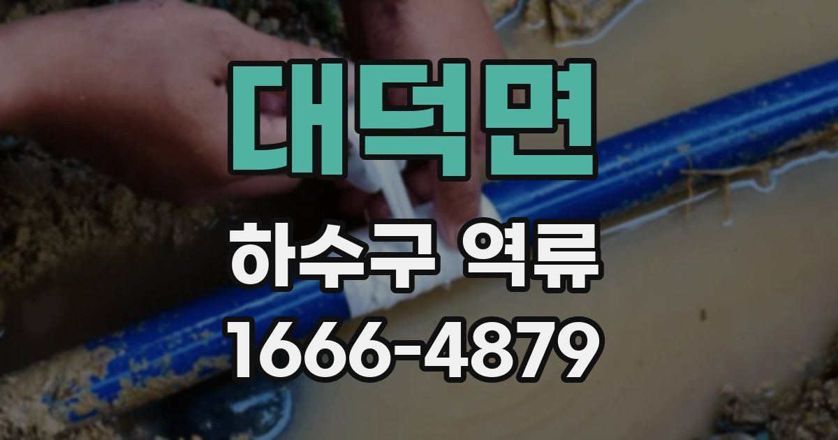 대덕면 하수구 역류