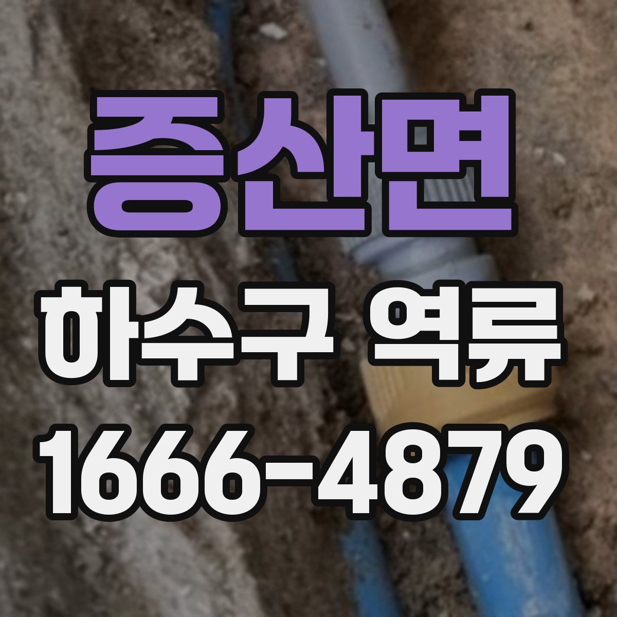 증산면 하수구 역류