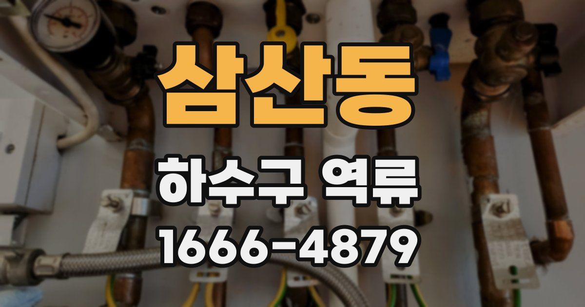 삼산동 하수구 역류