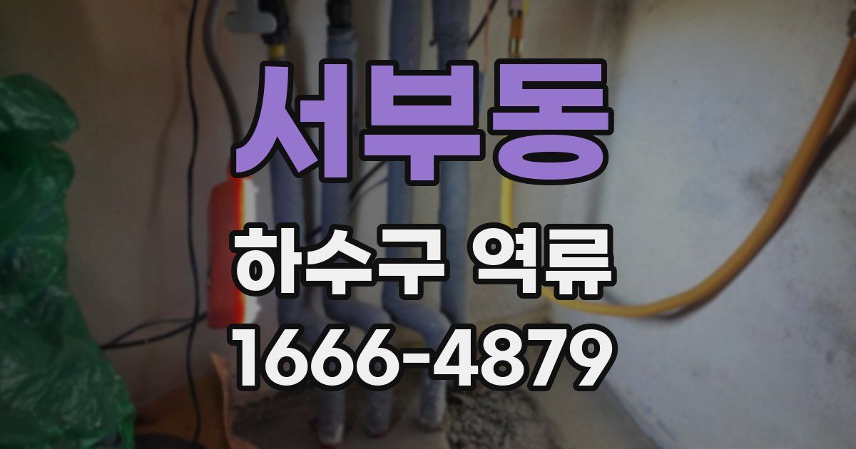 서부동 하수구 역류