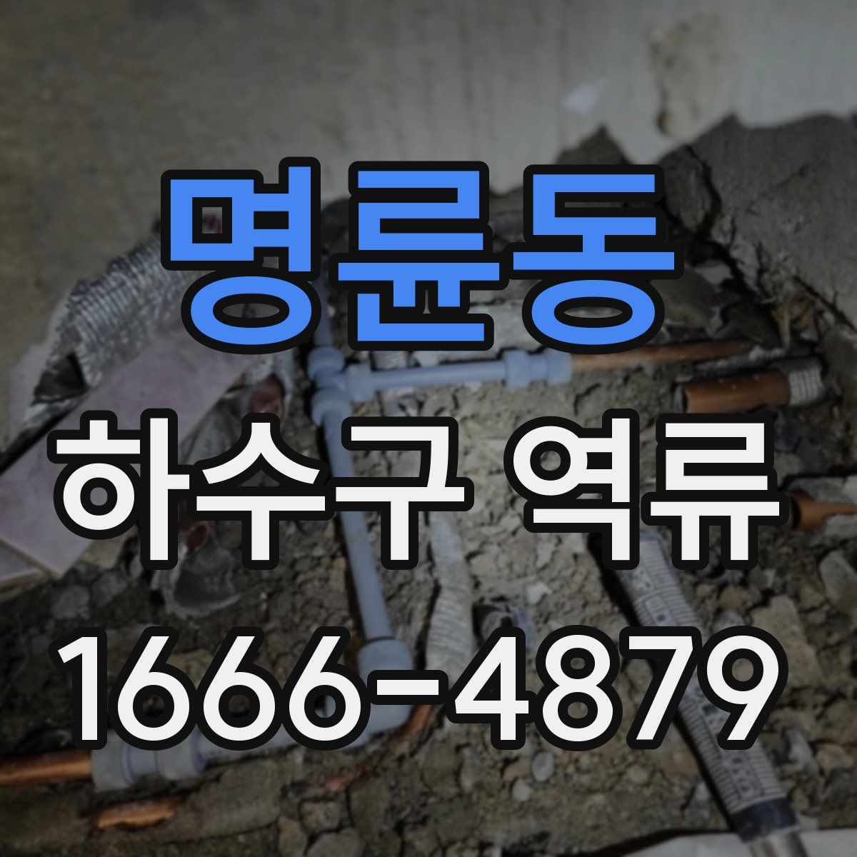 명륜동 하수구 역류