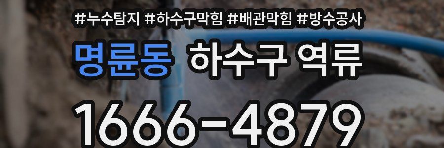 명륜동 하수구 역류