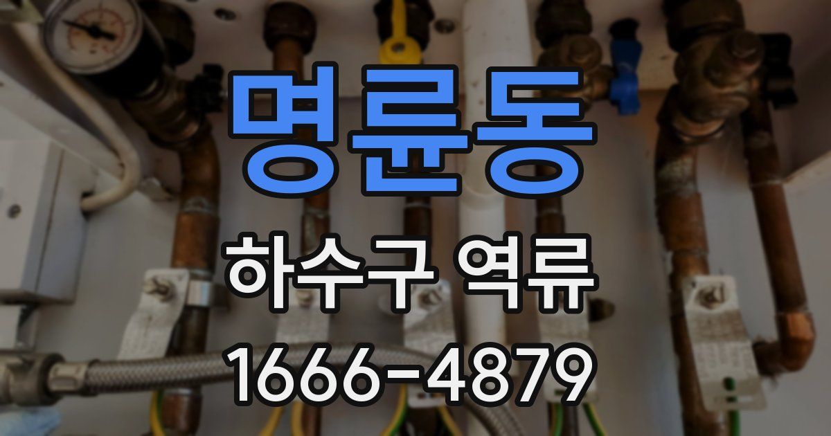 명륜동 하수구 역류