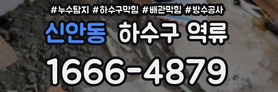 신안동 하수구 역류