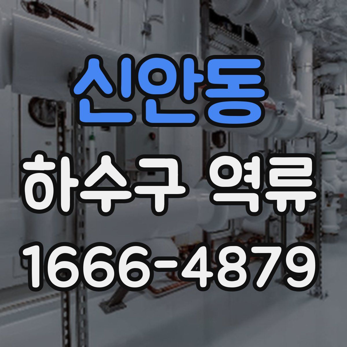 신안동 하수구 역류
