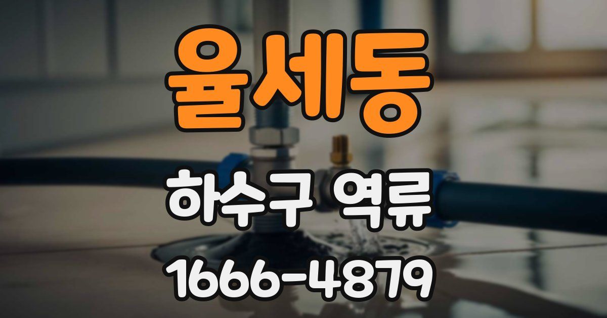 율세동 하수구 역류