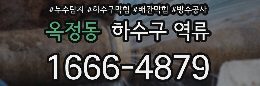 옥정동 하수구 역류