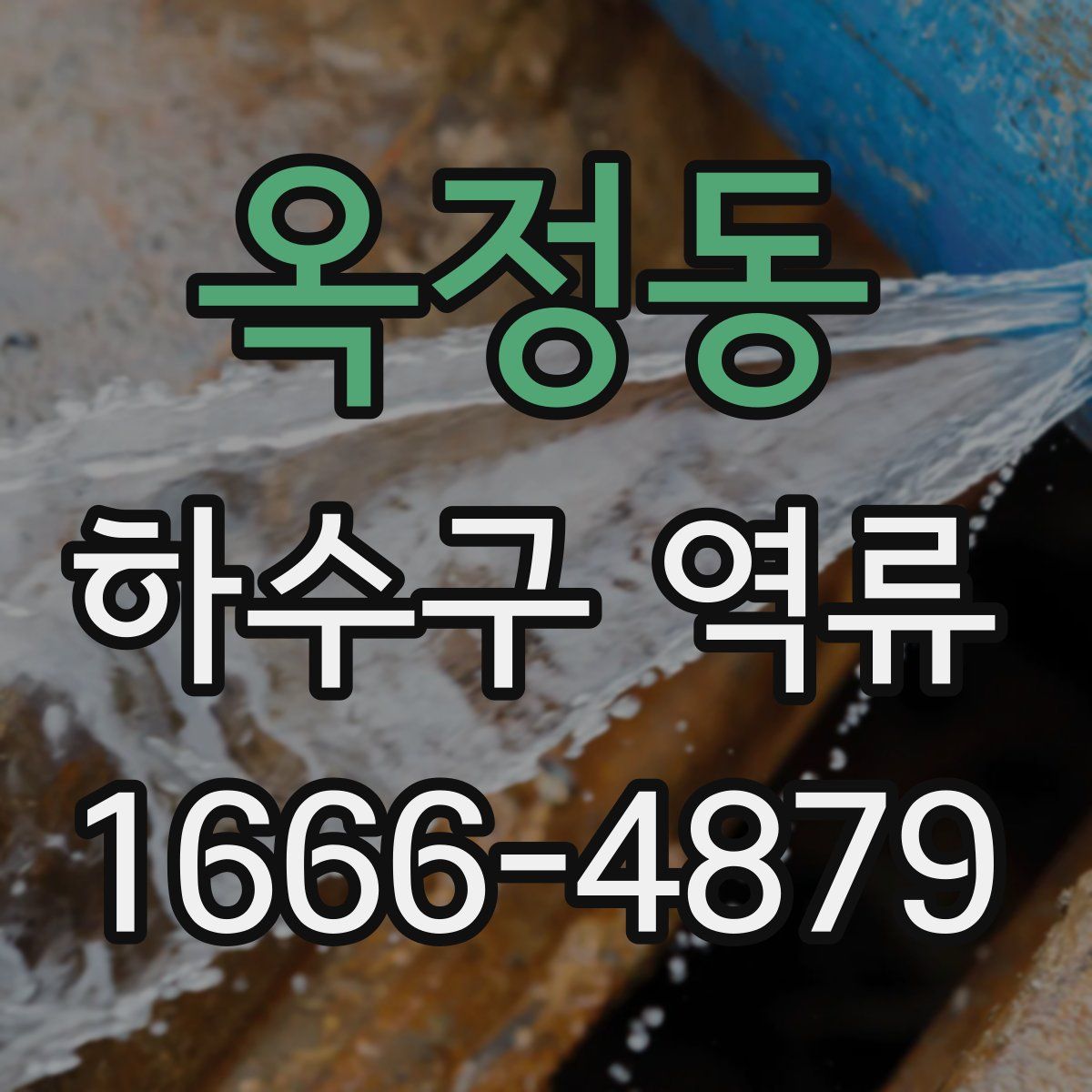 옥정동 하수구 역류