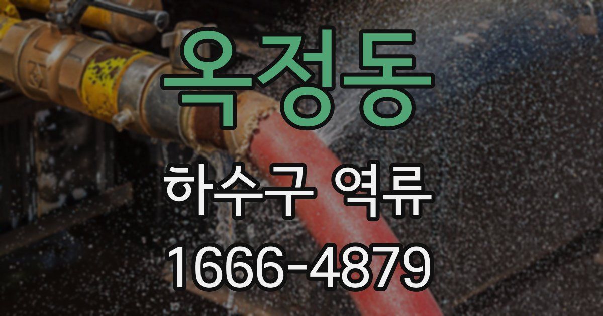 옥정동 하수구 역류