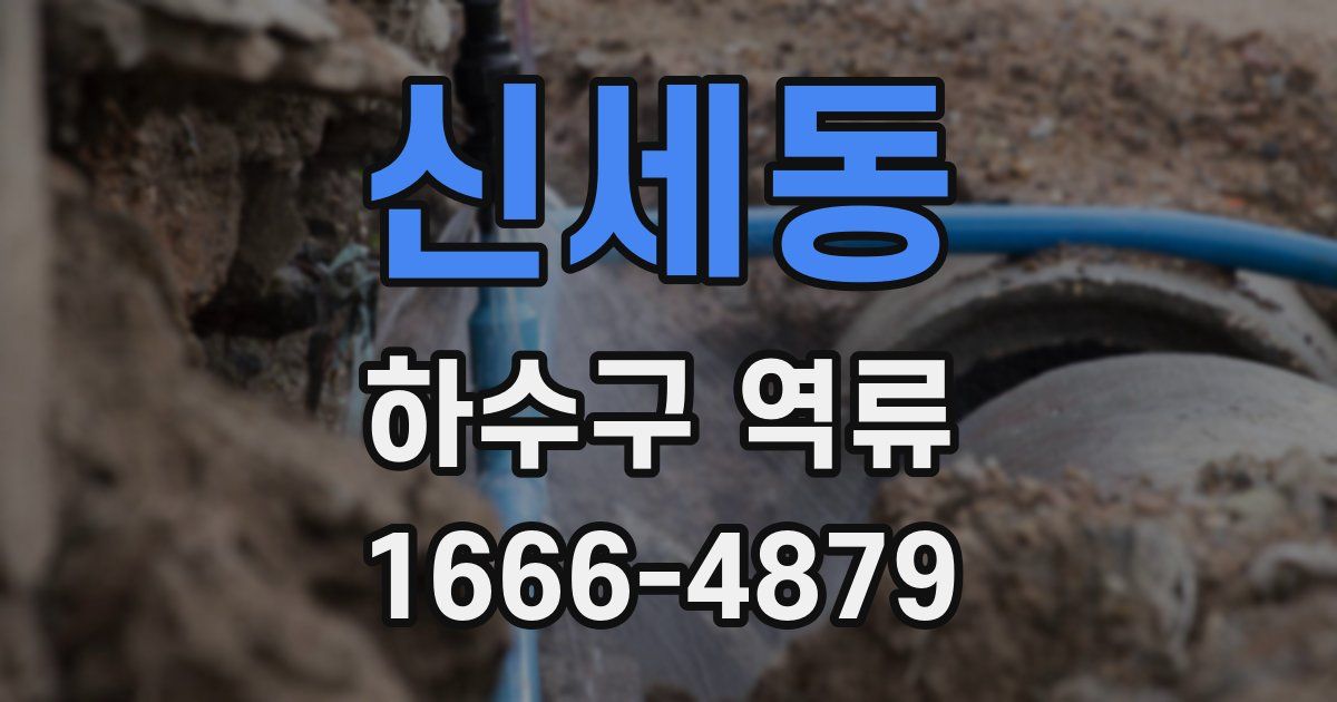 신세동 하수구 역류