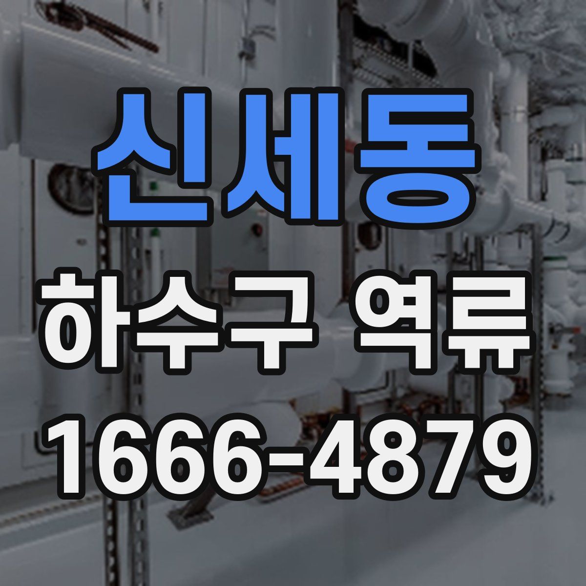 신세동 하수구 역류
