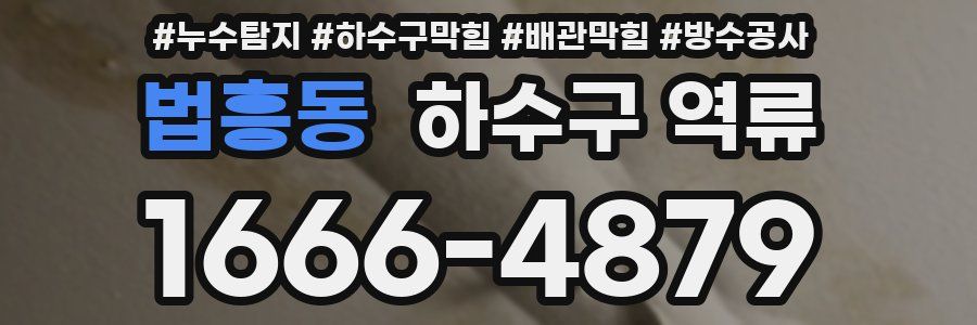 법흥동 하수구 역류