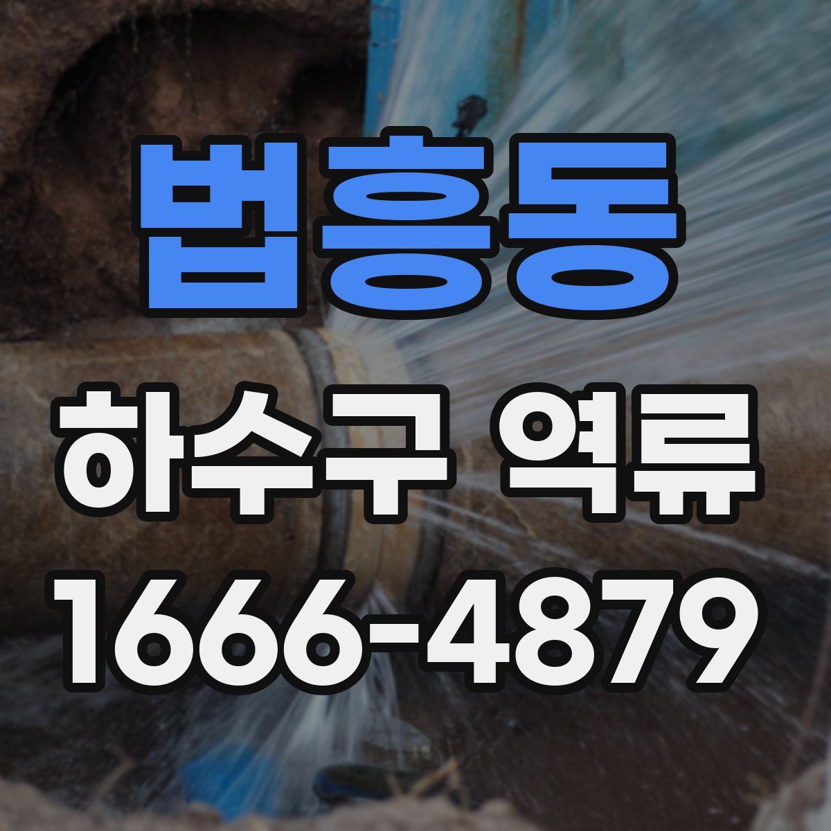 법흥동 하수구 역류
