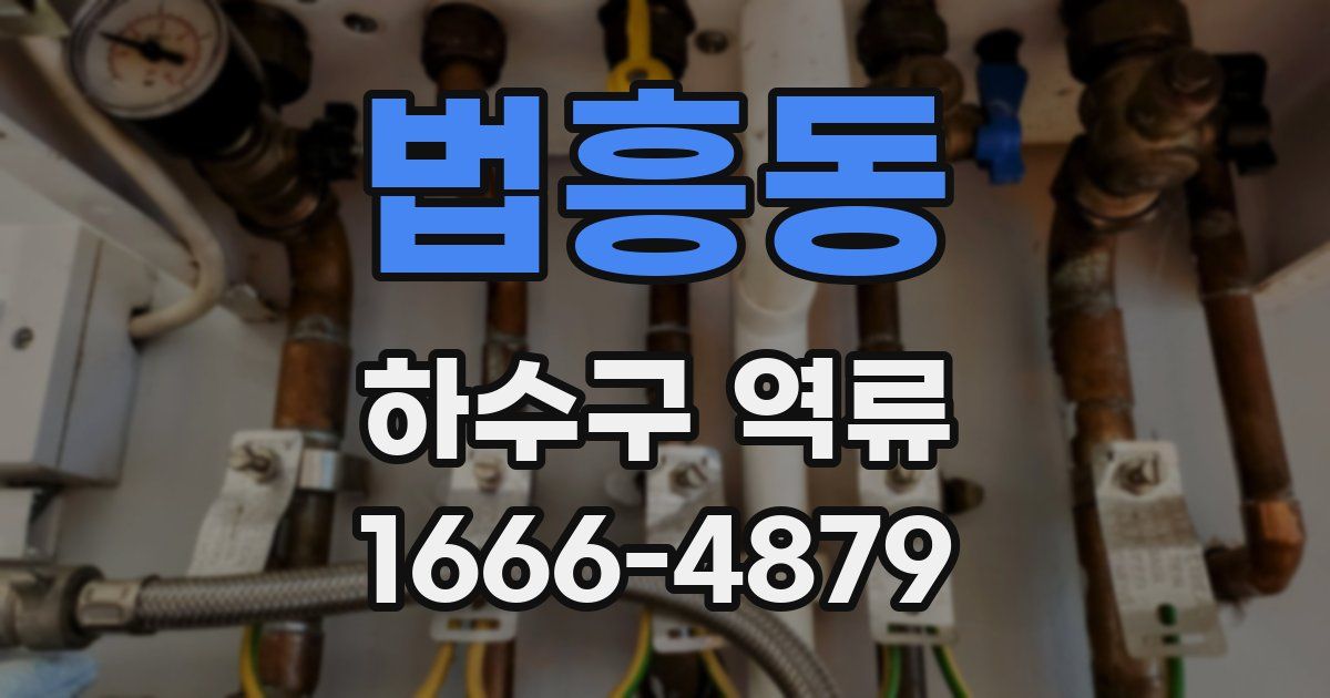 법흥동 하수구 역류