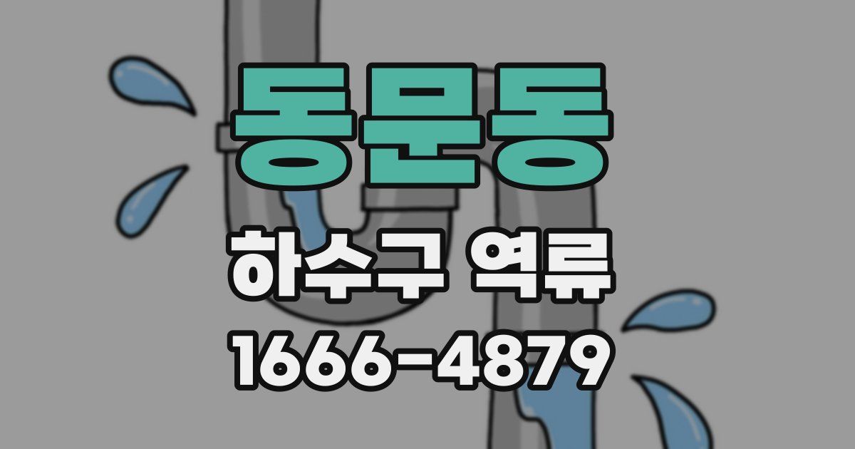 동문동 하수구 역류