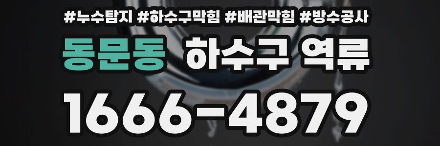 동문동 하수구 역류