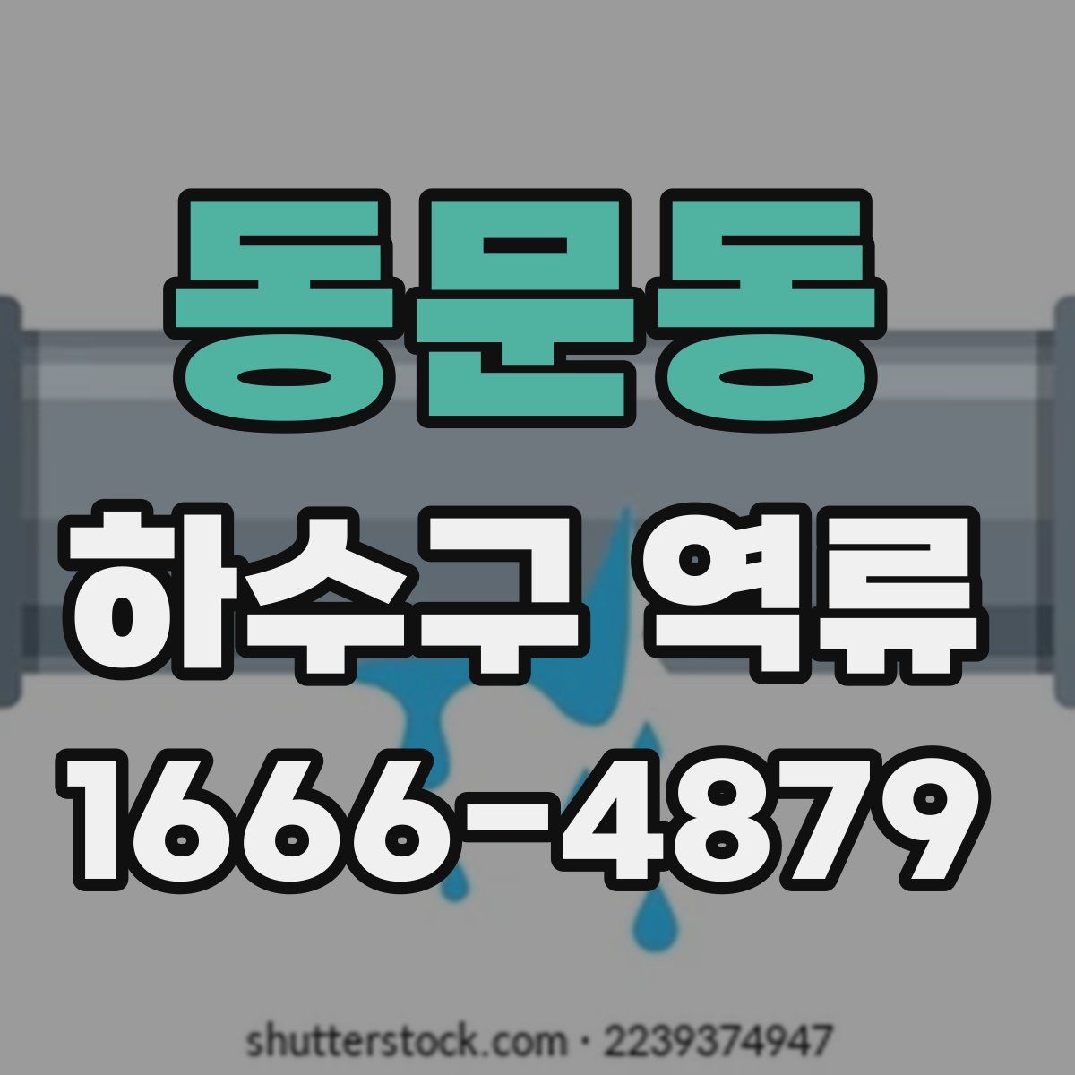 동문동 하수구 역류