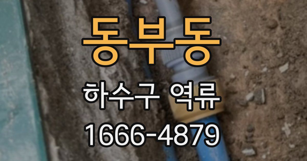 동부동 하수구 역류