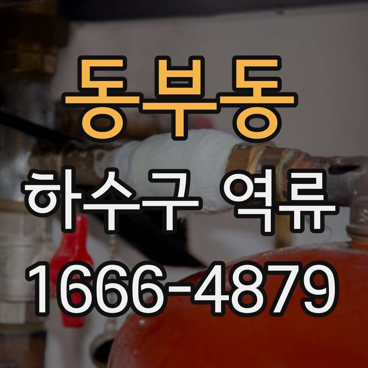 동부동 하수구 역류