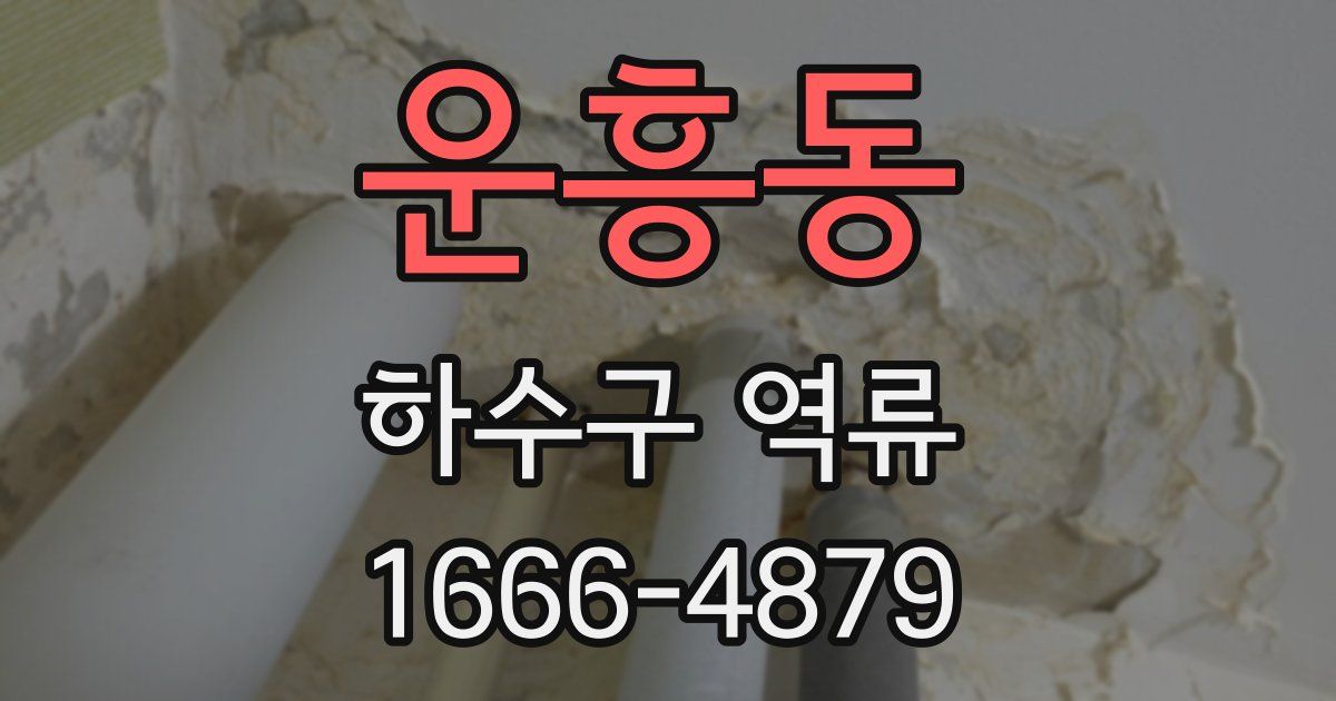 운흥동 하수구 역류