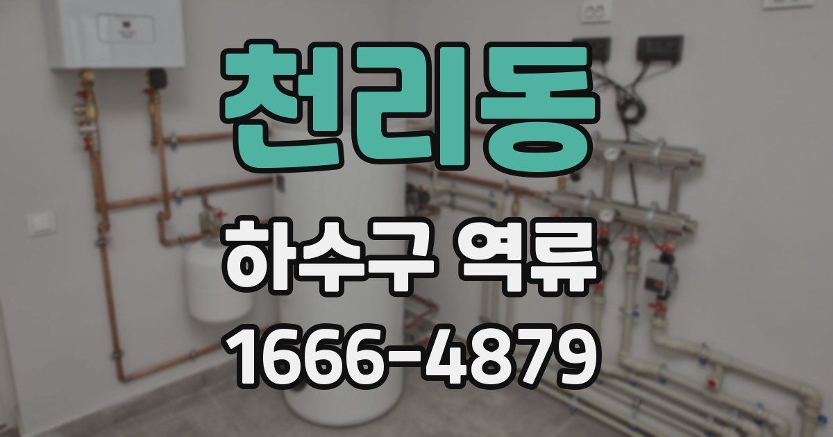 천리동 하수구 역류