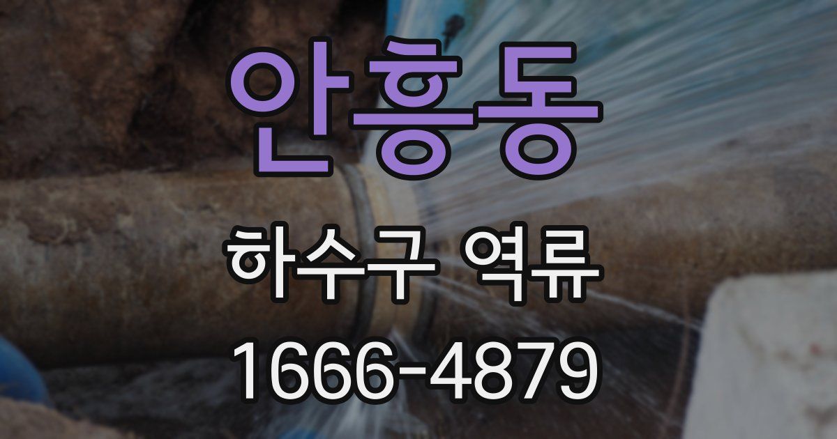 안흥동 하수구 역류