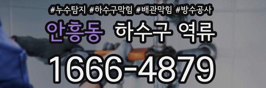 안흥동 하수구 역류