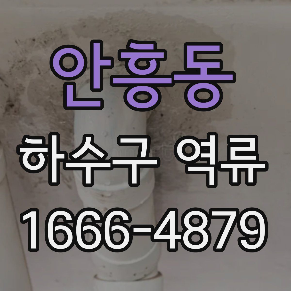 안흥동 하수구 역류